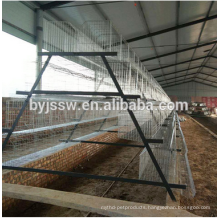 Chicken Cage with Completely Automatic Feeding and Drinking